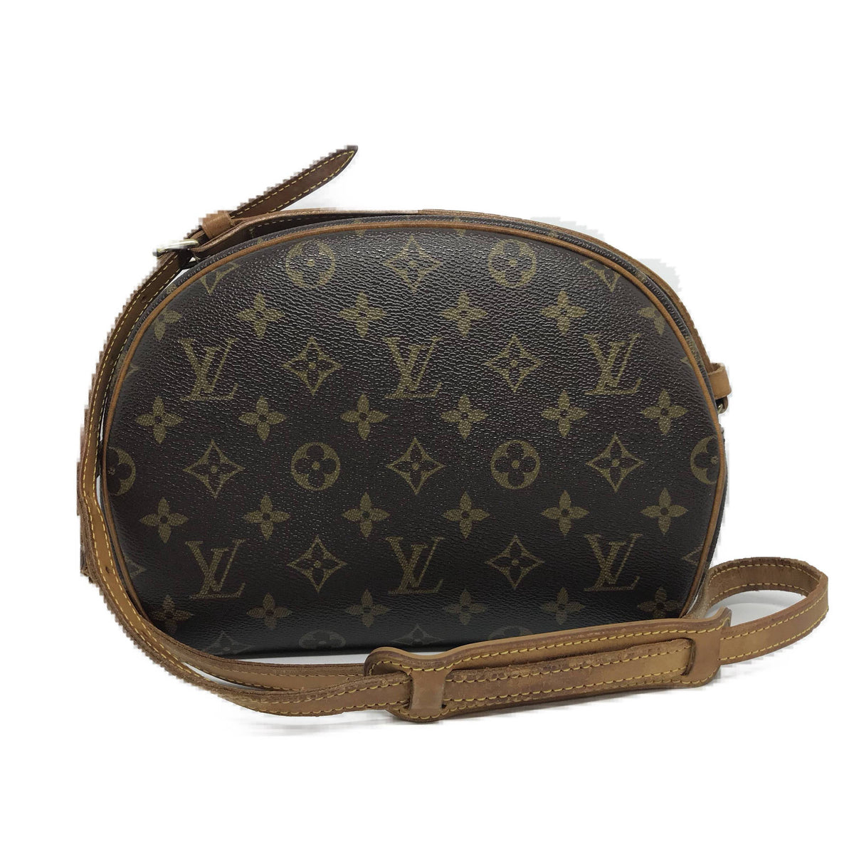 Louis Vuitton Monogram Canvas Leather Blois Crossbody Bag